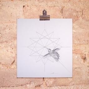 Hummingbird (Silver) by Jessica Albarn