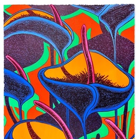 Orange Crush by Julien Colombier