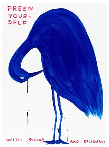 Preen Yourself  by David Shrigley