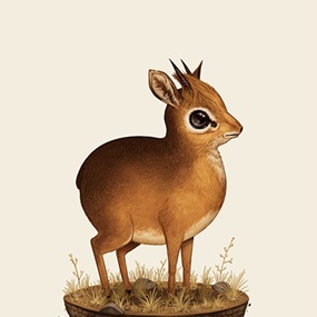 Fat Kingdom - Dik-Dik by Mike Mitchell