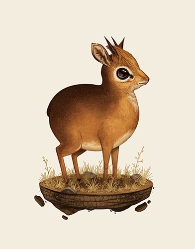 Fat Kingdom - Dik-Dik  by Mike Mitchell