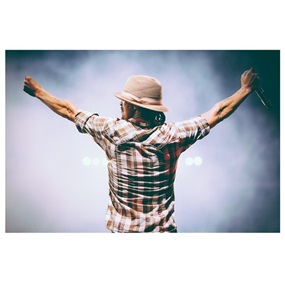 Kid Rock - American Badass (44 x 66) by Jeremy Deputat