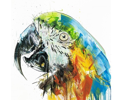 Parrot II  by Dave White