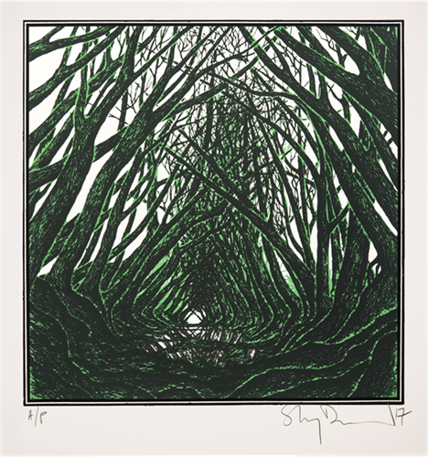 Secret Green Driftway  by Stanley Donwood