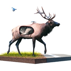 Incubate by Josh Keyes