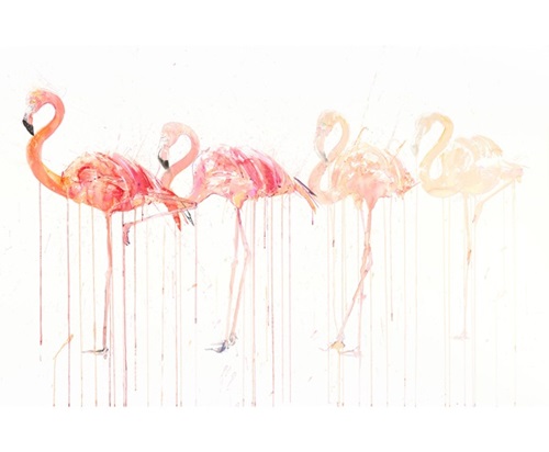 Flamingo Movement  by Dave White