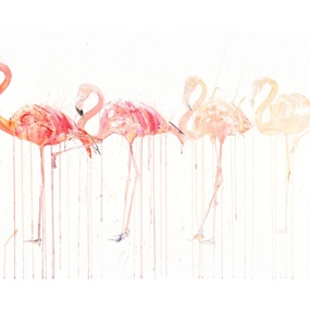 Flamingo Movement by Dave White