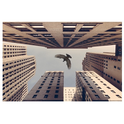 Stay Fly (44 x 66) by Jeremy Deputat