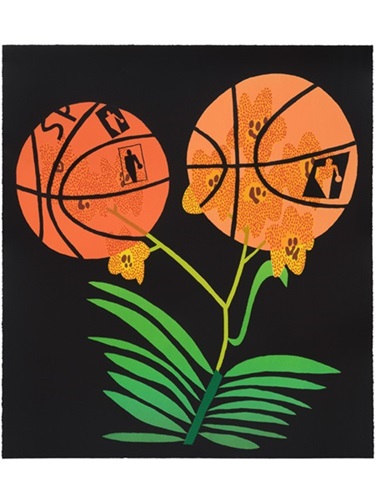 Double Basketball Orchid (State 2) by Jonas Wood