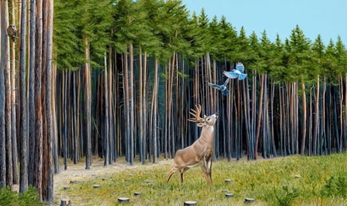 The Messengers  by Josh Keyes