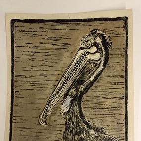 Pelican by Sweet Toof
