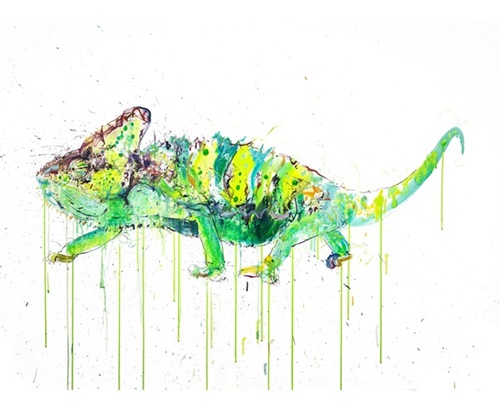 Chameleon  by Dave White