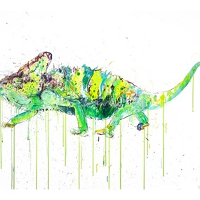 Chameleon by Dave White