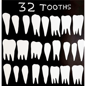 32 Tooths by David Shrigley