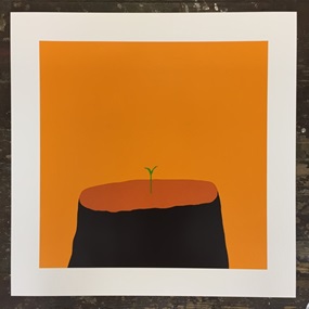 New Beginnings (Mango Colourway) by Euan Roberts