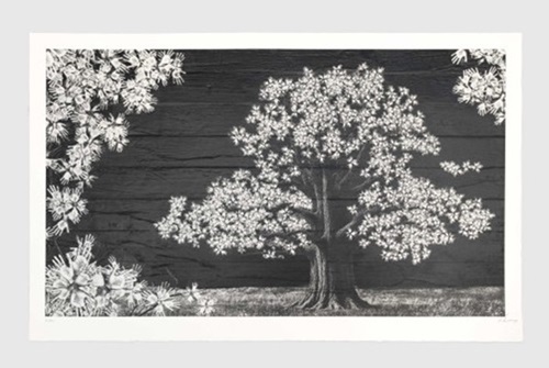 Adventice, Montpellier, France, 2025  by JR