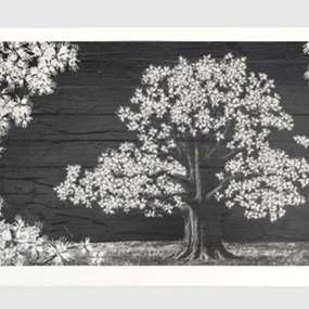 Adventice, Montpellier, France, 2025 by JR