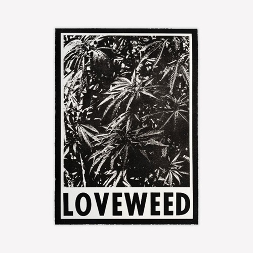 Loveweed  by Wallace Berman