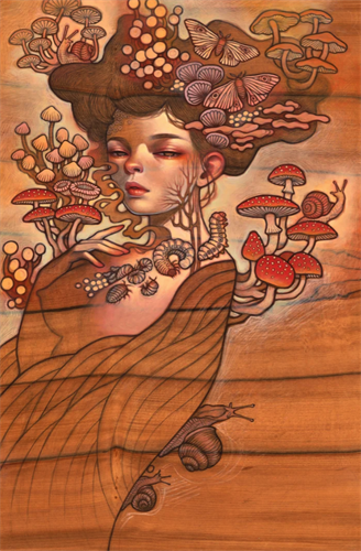 Aminita (First Edition) by Audrey Kawasaki