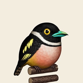Black And Yellow Broadbill (Timed Edition) by Mike Mitchell