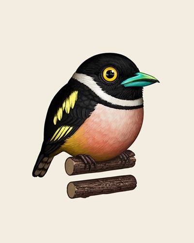 Black And Yellow Broadbill (Timed Edition) by Mike Mitchell