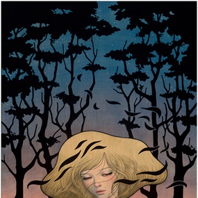 Shadows (First Edition) by Audrey Kawasaki