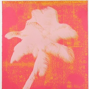 Palm 2 by Kate Gibb