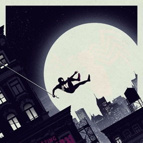 The Amazing Spider-Man (Variant) by Matt Ferguson
