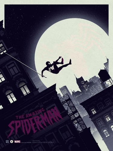 The Amazing Spider-Man (Variant) by Matt Ferguson