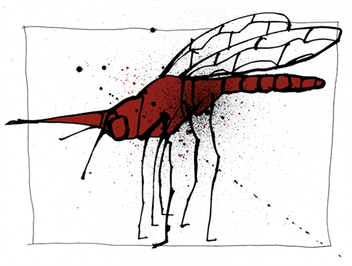 Mosquito Rojo  by Joey Feldman