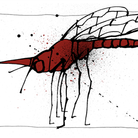 Mosquito Rojo by Joey Feldman