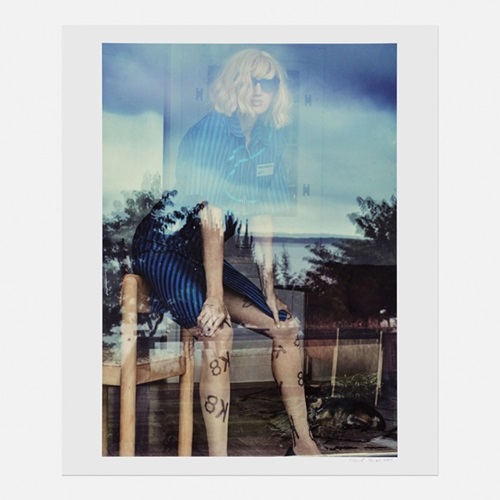 K8 1  by Cass Bird