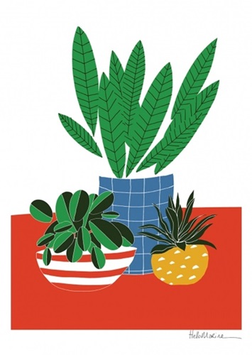 Plants  by Hello Marine