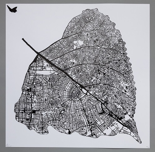 Tilia Cordata Amsterdam (Screenprint - Black) by Nils Westergard