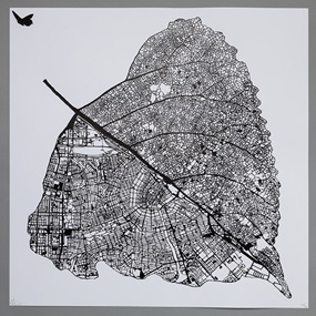 Tilia Cordata Amsterdam (Screenprint - Black) by Nils Westergard