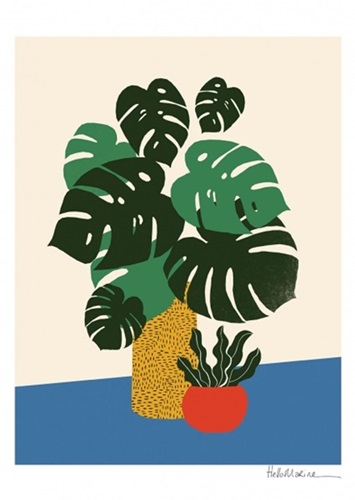 Monstera  by Hello Marine