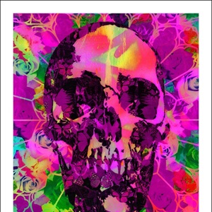 ESPY 氏作ARTWORK 特大②A to Z skull ESPY 氏作ARTWORK 特大②A to Z skull 絵画