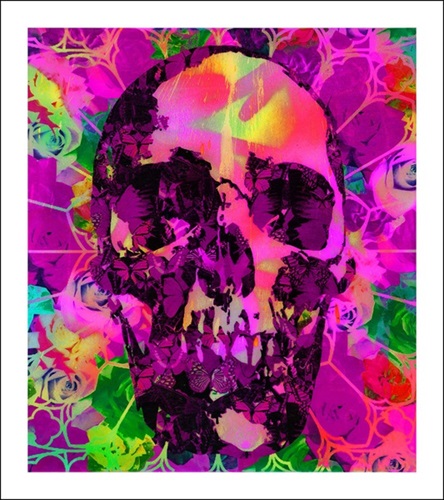 Psychedelic Skull No. 6  by Ben Allen