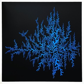 Coral (Blue) by Linjer