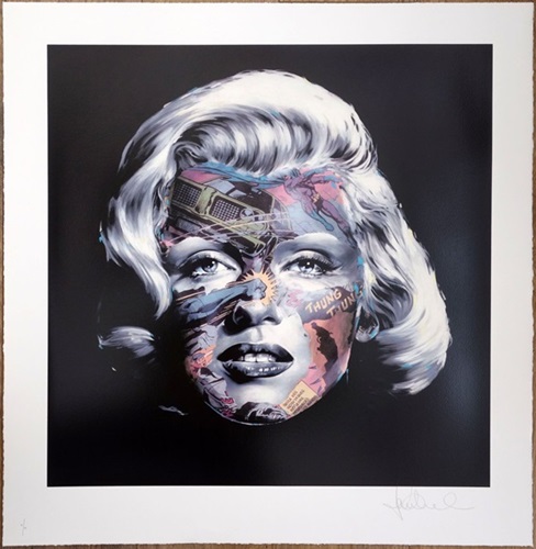 La Cage A La Tout Derniere Seconde  by Sandra Chevrier