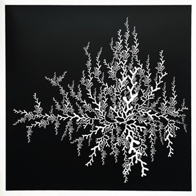 Coral (White) by Linjer