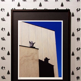 Winning Is Everything (Signed) by Mark Jenkins