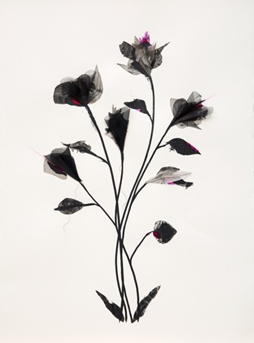 Shadow Flowers (Pink) by Rob Wass