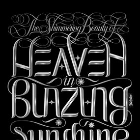 Blazing (Silver) by Seb Lester