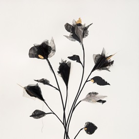 Shadow Flowers (Gold) by Rob Wass