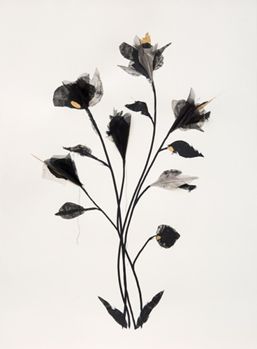 Shadow Flowers (Gold) by Rob Wass