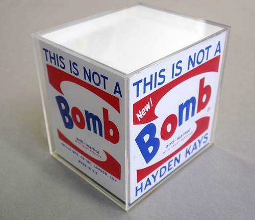 This Is Not A Brillo Box  by Hayden Kays