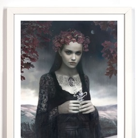 Falls Grace by Tom Bagshaw