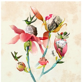 Magnolias by Delphine Lebourgeois