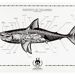 Anatomy Of The Shark: Anatomy Sheet No. 16 (First Edition) by Nychos
